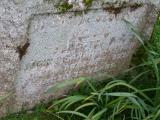 image of grave number 710320